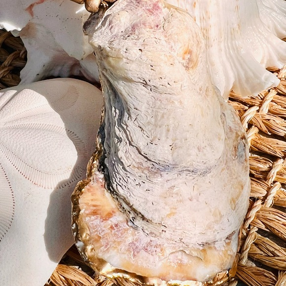 🐚 Gorgeous COSTAL handcrafted blue oyster shell-GOLD accents-freshwater PEARL! - Picture 7 of 9